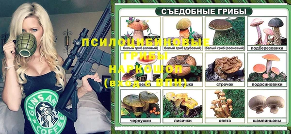МДМА Заводоуковск