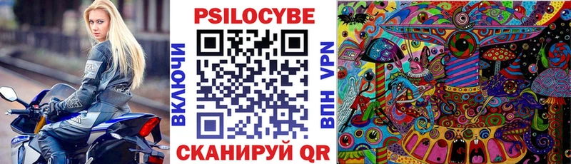 Купить  Козловка  Псилоцибиновые грибы мицелий 